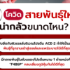 โควิดสายพันธุ์ใหม่ XBB.1.5 น่ากลัวขนาดไหน?