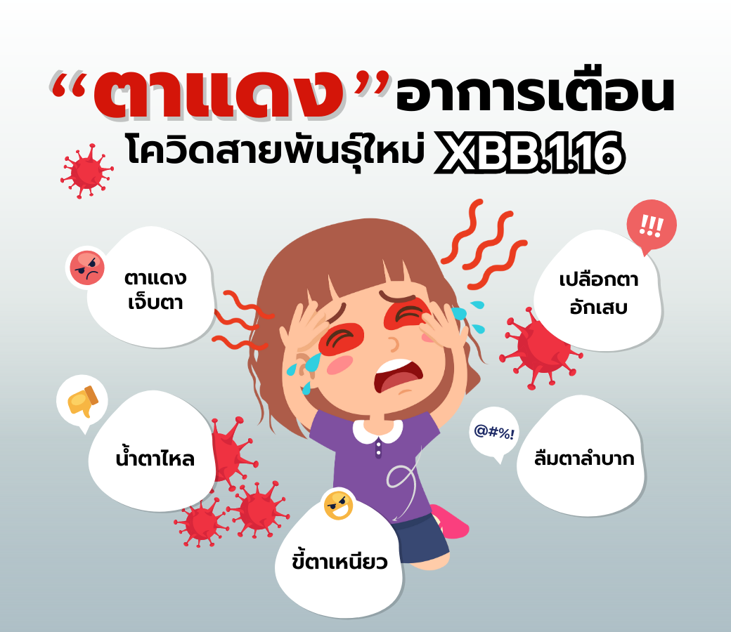 โควิดสายพันธุ์ใหม่-โอมิครอน-XBB.1.16.png