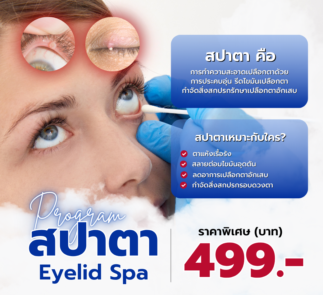 โปรแกรมสปาตา.png