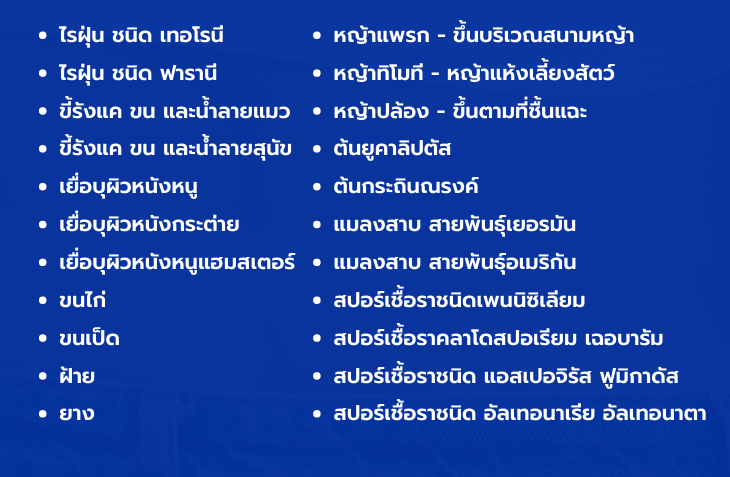 แพ็กเกจตรวจคัดกรองภูมิแพ้ | โรงพยาบาลราชสีมา ฮอสพิทอล | โทร : 044 263 777 แพ็กเกจตรวจคัดกรองภูมิแพ้ | โรงพยาบาลราชสีมา ฮอสพิทอล | โทร : 044 263 777